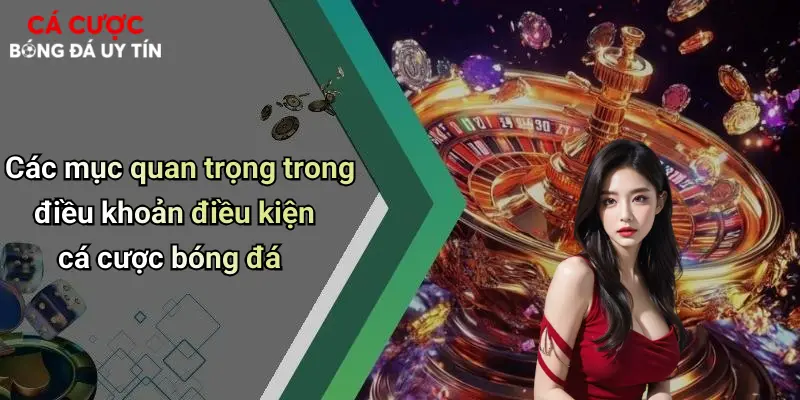 Các mục quan trọng trong điều khoản điều kiện cá cược bóng đá