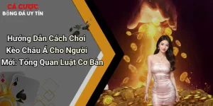 Hướng Dẫn Cách Chơi Kèo Châu Á Cho Người Mới: Luật Cơ Bản