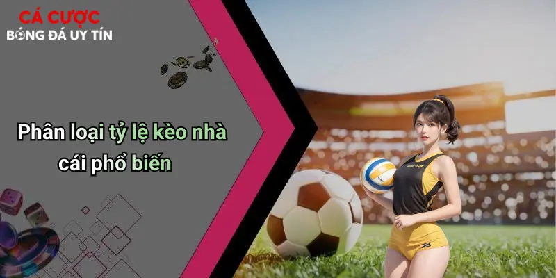 Phân loại tỷ lệ kèo nhà cái phổ biến