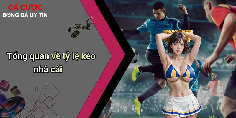Tổng quan về tỷ lệ kèo nhà cái