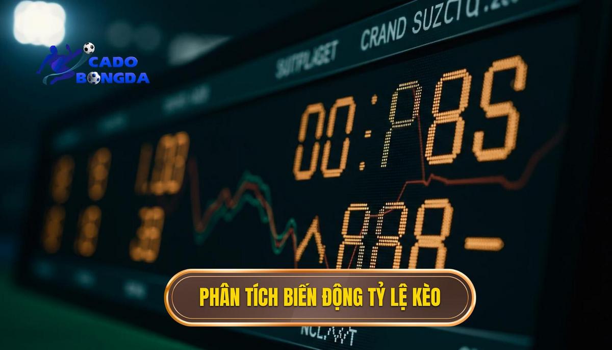 Phân Tích Sự Biến Động Của Tỷ Lệ Kèo – Yếu Tố Quyết Định