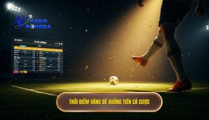 Thời điểm vàng để xuống tiền cá cược