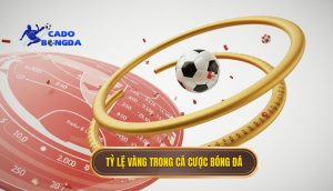 Tỷ lệ vàng trong cá cược bóng đá