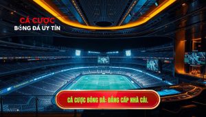 Cá cược bóng đá_ Đẳng cấp nhà cái.