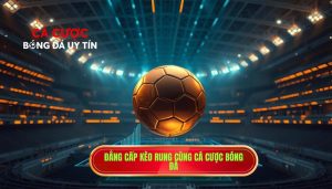 Đẳng cấp kèo rung cùng CÁ CƯỢC BÓNG ĐÁ