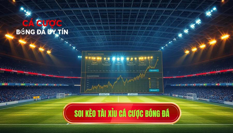 Soi kèo tài xỉu CÁ CƯỢC BÓNG ĐÁ
